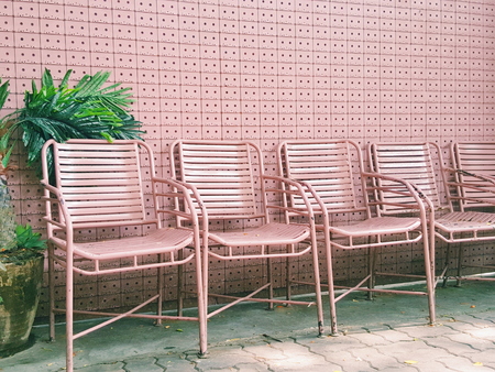 Rose pink gold chairs arranged in a row near pastel wall in a gardenの写真素材