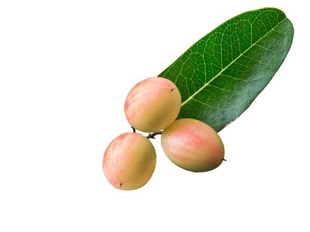 Fruit is Mango yawning lime booing in Thailand, White background, Fruit is healthy bodyの写真素材