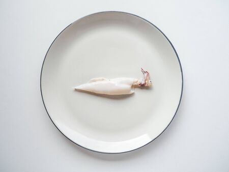 Fresh squid from the market on dish White and White backgroundの写真素材