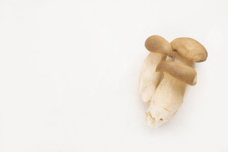 King Oyster Mushroom is placed in three pieces on a white background. It has nutritional value and usefulness in medicine.の写真素材
