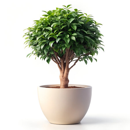 Tree in pot isolated on a white background. 3d illustration.の素材