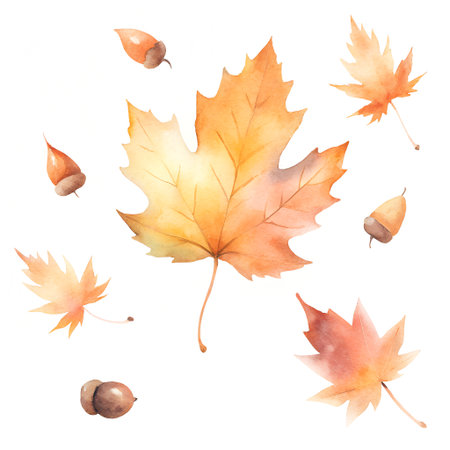 Watercolor autumn leaves isolated on white background. Hand drawn illustration.の素材