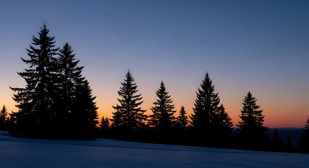 Silhouette of spruce trees in the winter mountains at sunsetの素材