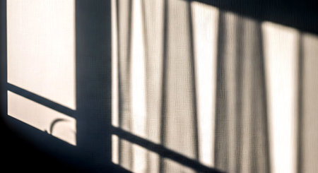 Shadow on the window. Sunlight through the window blinds.の素材