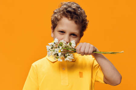 funny curly boy stands in a yellow polo and sniffs a bouquet of daisies flowersの写真素材