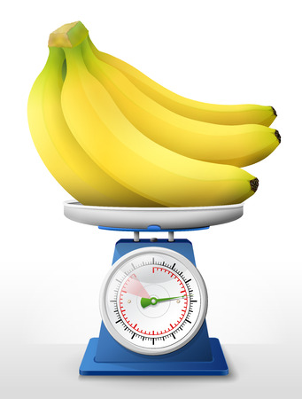 Banana fruit on scale pan. Weighing bunch of bananas on scales. Qualitative vector illustration about agriculture, fruits, cooking, health food, gastronomy, botany, etcのイラスト素材
