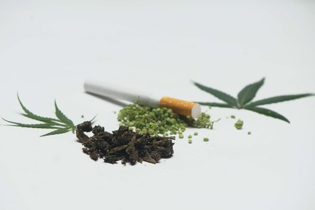 Marijuana leaf, seeds, dried buds and cigarette on white background.の写真素材