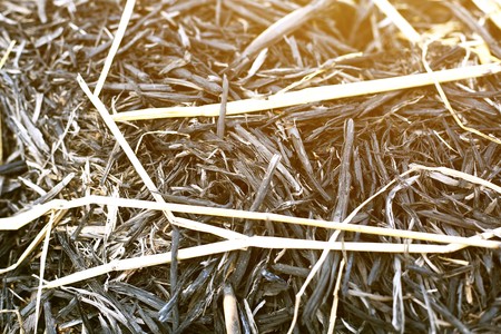 Portrait of dry grass stack.の写真素材