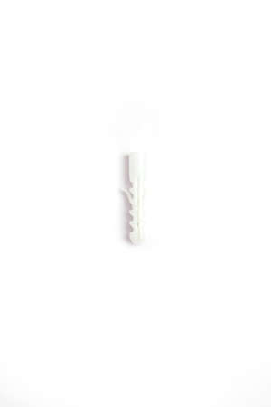 Portrait of Dowel And Screw. Isolated on white background.