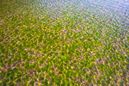The Ripple on water is show green color pure nature の写真素材
