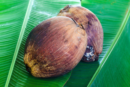 The coconut ready for cooking in desiccated coconut styleの写真素材