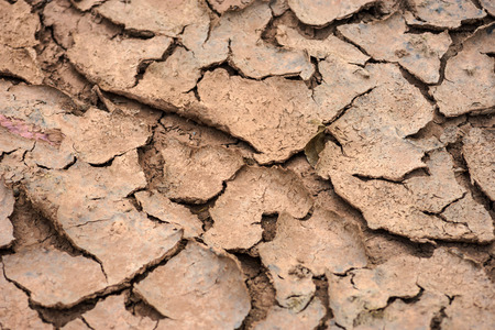 Land dry from drought itâs not agriculture in thailandの写真素材
