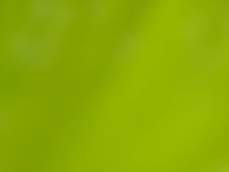 Green blur background and beautifulの写真素材