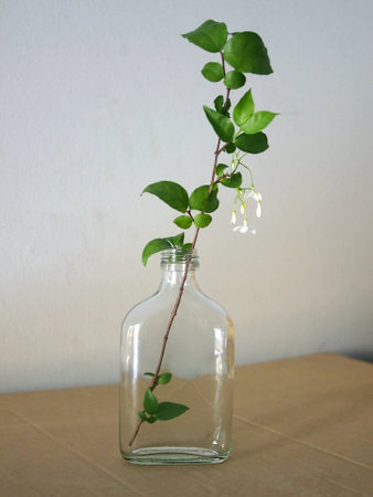 Flower in the glass bottleの写真素材