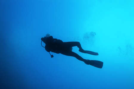 Diving Image Tropical Seaの写真素材