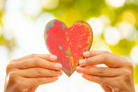Hand with a red heart against the background of the tree-leaking dayの写真素材