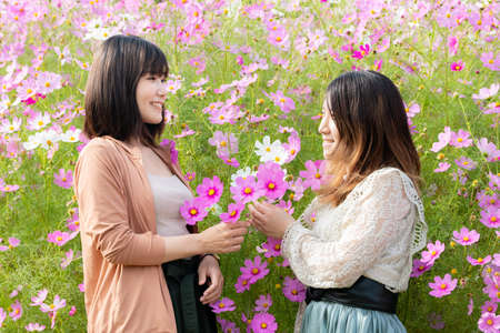 Woman making sightseeing trip in flower garden in cosmosの写真素材