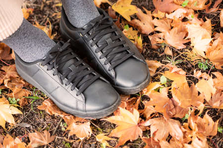 Fallen leaves at the feet and on the ground of a woman in black sneakersの写真素材