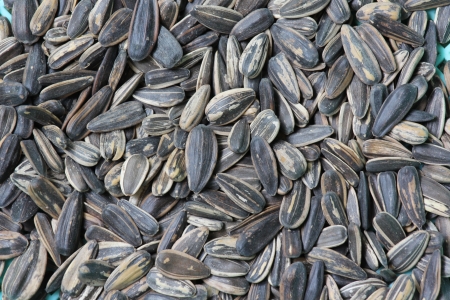 sunflower seeds backgroundの写真素材