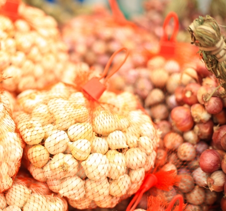 close up of garlic on market standの写真素材