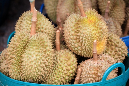 Durian, king of fruit, famous fruit in Thailandの写真素材
