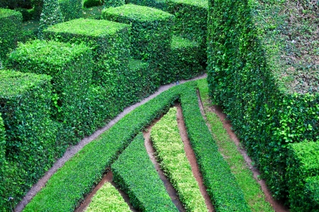 garden path top view