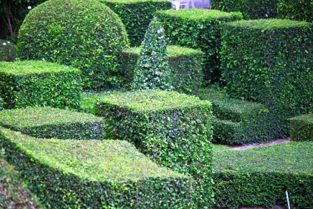 garden path top viewの写真素材