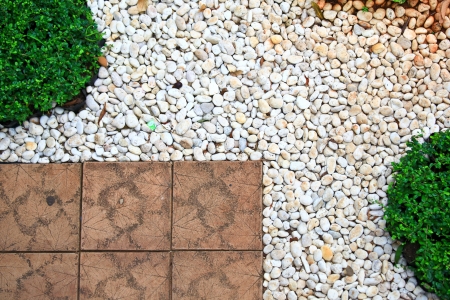 garden path top viewの写真素材