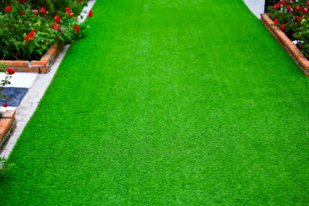 Green Grass pathの写真素材