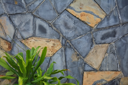 Texture of stone