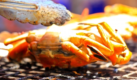 crabs shrimps on charcoal grillの写真素材
