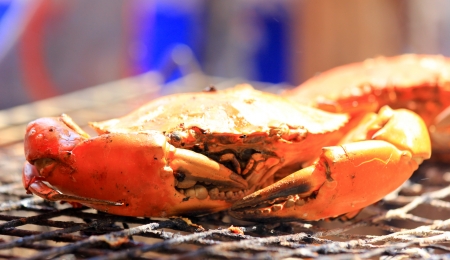 crabs shrimps on charcoal grillの写真素材