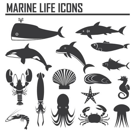 marine life iconsのイラスト素材