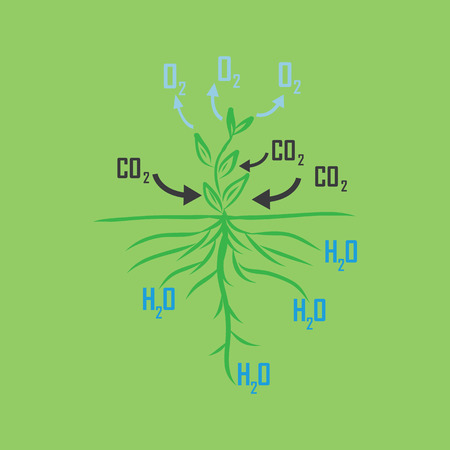 Tree reduce carbon ,co2のイラスト素材