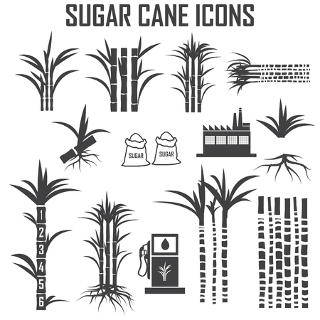 sugar cane iconsのイラスト素材