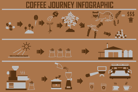 Coffee infographic flat illustration. Preparation coffee beans.のイラスト素材
