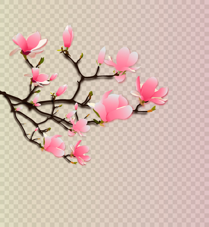 Blooming cherry. Spring background. Falling sakura pink petals. EPS 10 vector.のイラスト素材