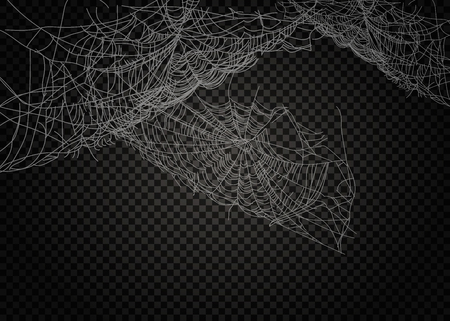Collection of Cobweb, isolated on black, transparent background.のイラスト素材