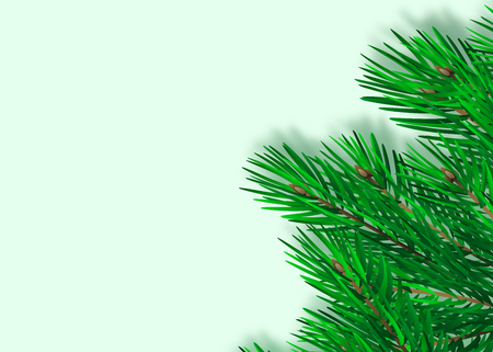 Green lush spruce branch. Fir branches. Isolated on white vector illustrationのイラスト素材