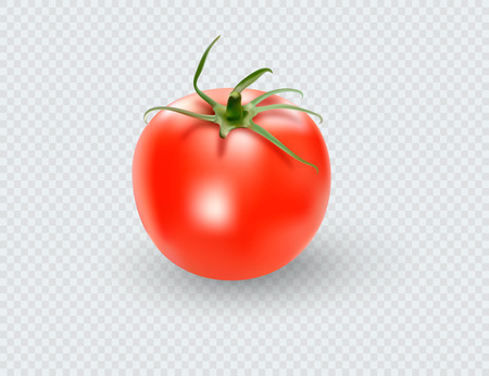 Tomato set. Red tomato collection. Photo-realistic vector tomatoes on transparent backgroundのイラスト素材