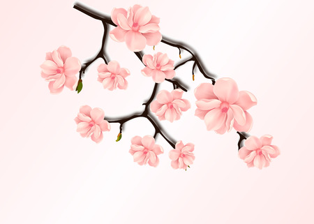 Blooming cherry. Spring background. Falling sakura pink petals. EPSのイラスト素材