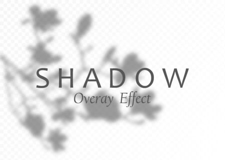 Shadow overlay effect. Transparent soft light and shadows from plant branches, leaves and foliage. Mockup of transparent shadow overlay effect and natural lightning. Vectorのイラスト素材
