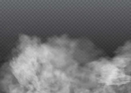 Fog or smoke isolated transparent special effectのイラスト素材