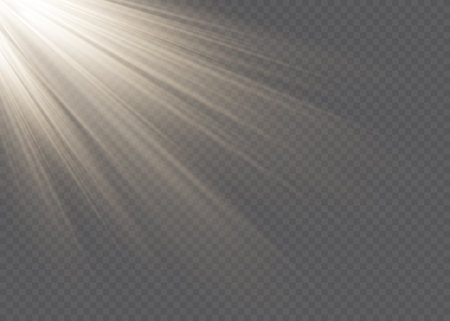 Vector spotlight. Light effect.Vector transparent sunlight special lens flare light effectのイラスト素材