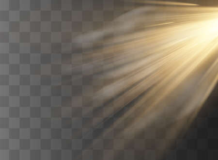 Vector spotlight. Light effect.Vector transparent sunlight special lens flare light effectのイラスト素材