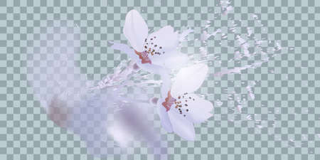 Bouquet realistic daffodil, flowers daffodilのイラスト素材