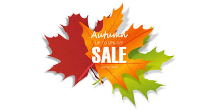 Autumn Sale Banner with Autumn leaves. Vector background.のイラスト素材