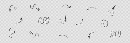 Infographic elements on isolated white background. Hand drawn simple arrows. Line art. Set of different pointers. Abstract indicators.のイラスト素材