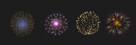 Vector Brightly Colorful Fireworks on the background of the night sky.のイラスト素材