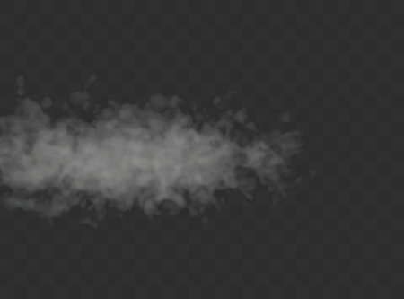 Transparent special effect stands out with fog or smoke. White cloud vector.のイラスト素材